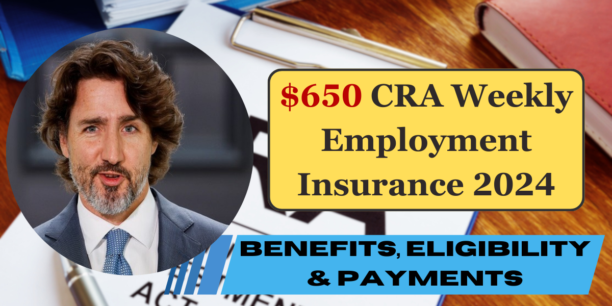 $650 CRA Weekly Employment Insurance 2024